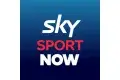 Sky Sport Now Logo
